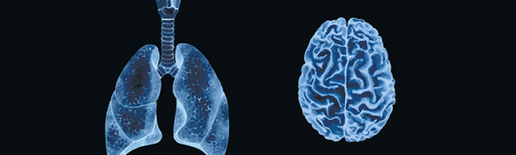 Neurological and Respiratory Disability Evaluation