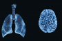 Neurological and Respiratory Disability Evaluation